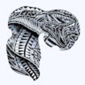 Meet your Posher, Erick